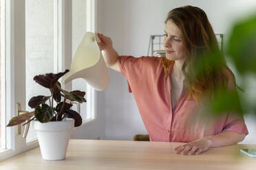 Woman watering plant on table at home - AFVF08821