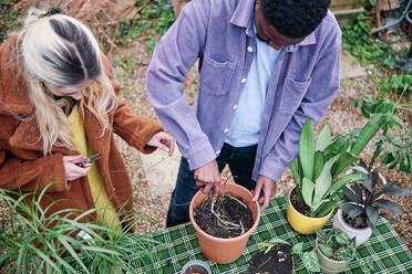 Paar bei der gemeinsamen Gartenarbeit im Hinterhof stehend - ASGF00450