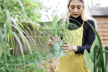 Frau hält Topfpflanze bei der Gartenarbeit im Hinterhof - ASGF00459