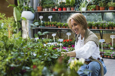 Lächelnde Frau prüft Topfpflanze auf dem Blumenmarkt - PNAF01924
