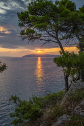 Makarska Riviera Bucht bei Sonnenuntergang mit Baum im Vordergrund - MAMF01870