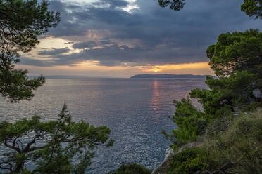 Makarska Riviera Bucht bei Sonnenuntergang mit Bäumen im Vordergrund - MAMF01871