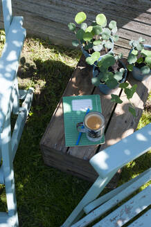 Getopfte Kapuzinerkresse, Notizblock und Kaffeebecher auf einer Kiste im Hinterhof - GISF00803