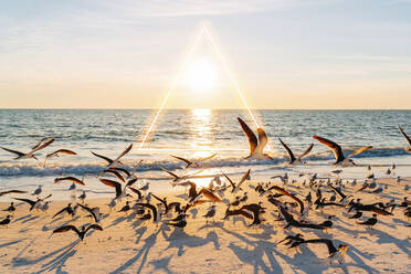 Sonnenuntergang über einem Schwarm von Möwen am Strand des Lovers Key State Park mit einem leuchtenden Dreieck im Hintergrund - GEMF04828