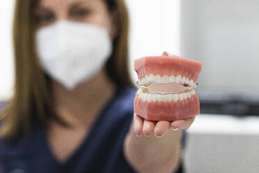 Female dentist holding dentures at clinic during COVID-19 - PNAF01930