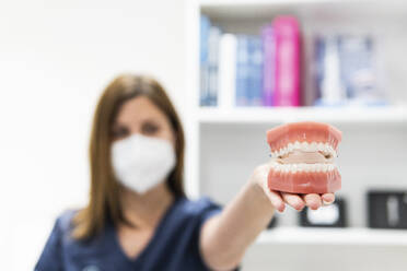 Female dentist holding dentures at clinic during COVID-19 - PNAF01945