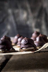 Homemade chocolate marshmallows - SBDF04485