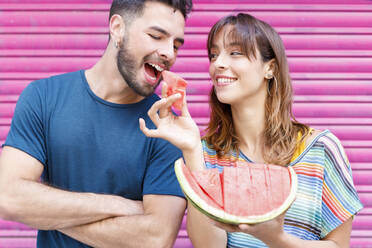 Lächelnd Freundin Fütterung Wassermelone Scheibe zu Freund vor rosa Wand - IFRF00827