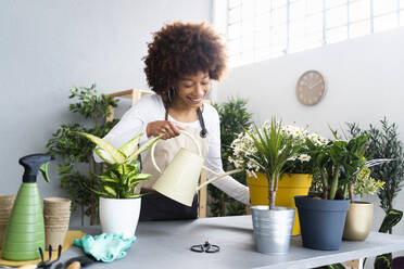 Female florist watering potted plant in shop - GIOF12949