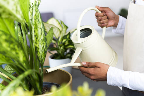 Female florist watering potted plant while working in shop - GIOF12954