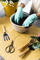 Female florist with protective glove working at plant shop - GIOF12960