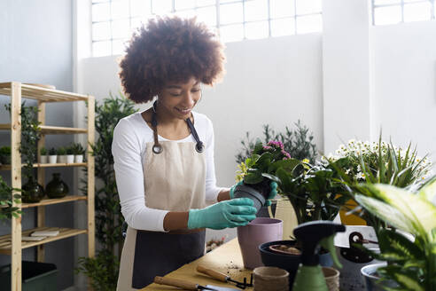 Ladenbesitzerin pflanzt Blumen bei der Arbeit im Laden - GIOF12965