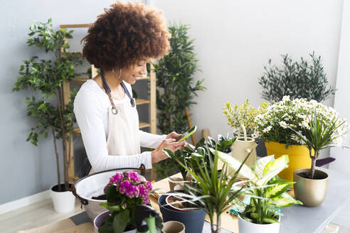 Blumenhändlerin fotografiert Pflanzen mit dem Mobiltelefon im Geschäft - GIOF12972