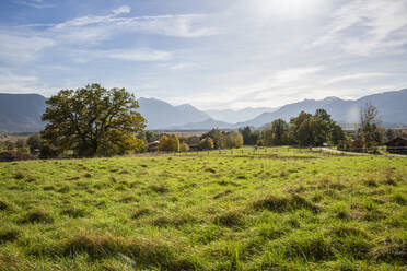 Murnauer Moos und Alpen bei Garmisch-Partenkirchen, Bayern, Deutschland - MAMF01875