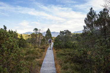 Mature male traveler walking on boardwalk amidst plants at Murnauer Moos, Bavaria, Germany - MAMF01876