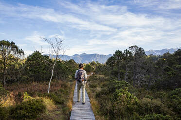 Mature man with backpack walking on boardwalk amidst plants at Murnauer Moos, Bavaria, Germany - MAMF01877