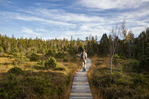 Male traveler walking on boardwalk at Murnauer Moos during sunny day, Bavaria, Germany - MAMF01879