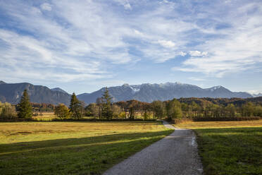 Fußweg inmitten von Gras im Murnauer Moos, Garmisch-partenkirchen, Bayern, Deutschland - MAMF01882
