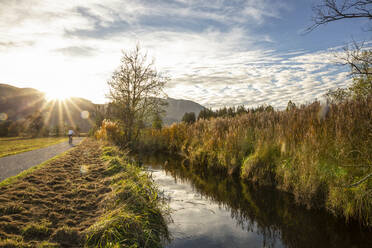 Cyclist riding bicycle on road at Murnauer Moos, Garmisch-partenkirchen, Bavaria, Germany during sunny day - MAMF01887