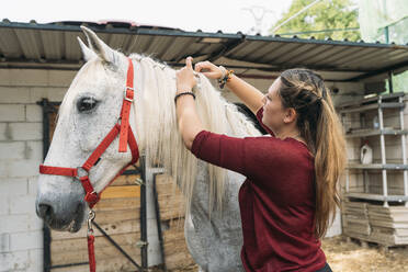 Young woman tying horse's mane at ranch - DAMF00795