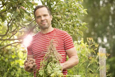 Porträt selbstbewusster Mann bei der Gemüseernte im Sommergarten - CAIF30663