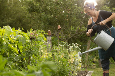 Woman watering plants with watering can in summer garden - CAIF30664