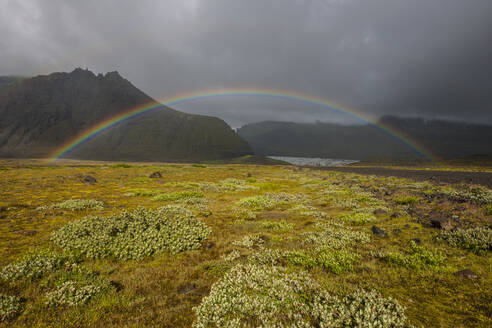 Regenbogen über einer Wiese in Südisland - CAVF94208