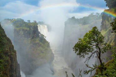 Victoria Falls, die Wasserfälle des Sambesi-Flusses von den Klippen Simbabwes aus gesehen - MINF16193