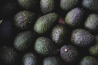 High angle close up of freshly picked avocados. - MINF16199