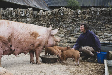 Frau füttert Tamworth-Schweinsau und Ferkel auf einem Bauernhof. - MINF16203