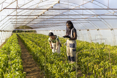 Female farmers using wireless technologies at greenhouse - OIPF01052