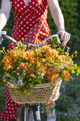 Woman sitting on bicycle with basket full of freesia flowers during sunny day - EIF01267