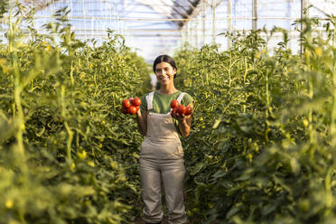 Lächelnde junge Bäuerin mit frischen Tomaten inmitten von Pflanzen im Gewächshaus - OIPF01057