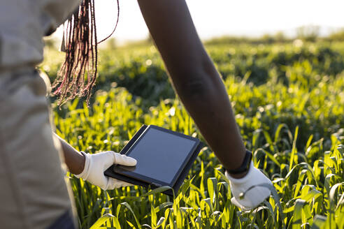 Landwirtin mit digitalem Tablet bei der Analyse von Pflanzen während der Arbeit auf dem Bauernhof an einem sonnigen Tag - OIPF01075