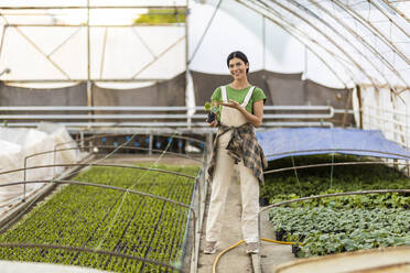 Lächelnde junge Bäuerin mit Topfpflanze im Gewächshaus stehend - OIPF01084