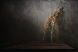 Zweige von getrockneten Pflanzen auf einem Holztisch in der Nähe der Wand mit Sonnenlicht in einem dunklen Raum - ADSF25096