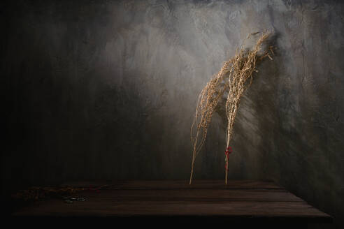 Twigs of dried plants placed on wooden table near wall with sunlight in dark room - ADSF25096