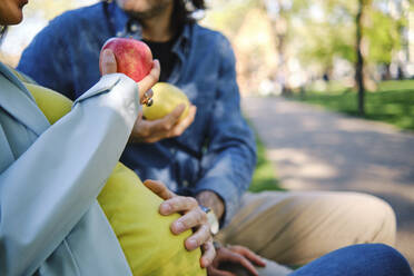 Älterer Mann mit Hand auf dem Bauch einer schwangeren Frau im Park sitzend - ASGF00595