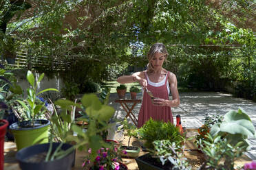 Ältere Frau benutzt eine Kelle bei der Pflanzung im Garten - VEGF04662