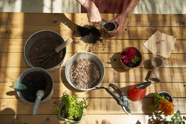 Woman putting soil in container doing plantation at table in backyard - VEGF04667