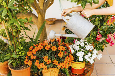 Woman watering plants in home garden - MGRF00294