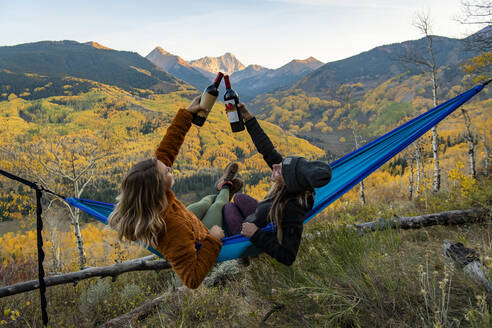 Female friends toasting wine bottles while relaxing on hammock in forest - CAVF94228