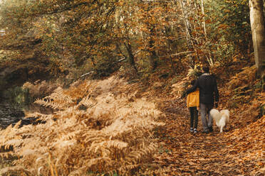 Rückansicht eines Vaters, der seinen Sohn umarmt, und eines Hundes, der im Herbst auf dem Treidelpfad spazieren geht - CAVF94236