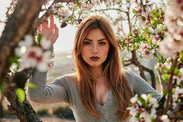 Porträt einer jungen blauäugigen Frau umgeben von Mandelblüten - CAVF94271