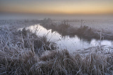 Überschwemmter Graben und Frost auf küstennahem Weidemoor, Elmley National Nature Reserve, Isle of Sheppey, Kent, England, Vereinigtes Königreich, Europa - RHPLF19829