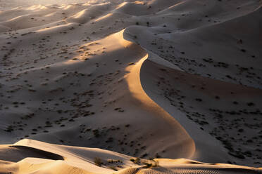 Sunset light on the sand dunes of Rub al Khali desert, Oman, Middle East - RHPLF19843