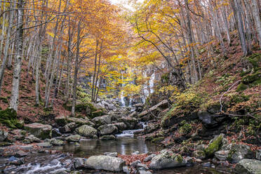 Herbstwald und Wasserfall im Hintergrund, Dardagna Wasserfälle, Parco Regionale del Corno alle Scale, Emilia Romagna, Italien, Europa - RHPLF19851