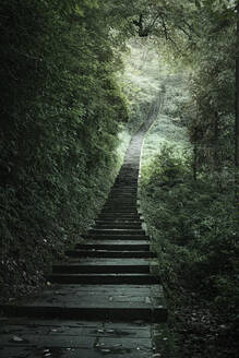 Die endlose Treppe zum Aufstieg auf den Berg Emei, Emeishan, Sichuan, China, Asien - RHPLF19858