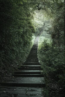 The endless stairs to ascend Mount Emei, Emeishan, Sichuan, China, Asia - RHPLF19858