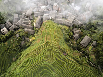 Aerial view on Longsheng rice terraces, also knows as dragon's backbone due to their shape, Guangxi, China, Asia - RHPLF19867